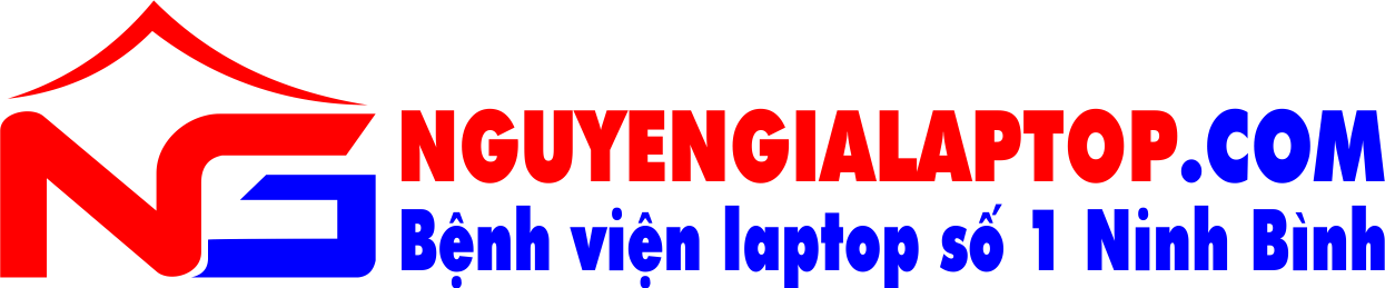 nguyengialaptop.com